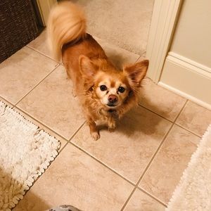 Meet your Posher, Rita